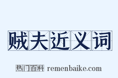 贼夫近义词是什么意思的图片